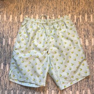 Mens Masters Golf Bathing Suit Swim Shorts